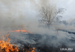 .. Forest fires Teachings MOE Chelyabinsk,  fire, grass fire