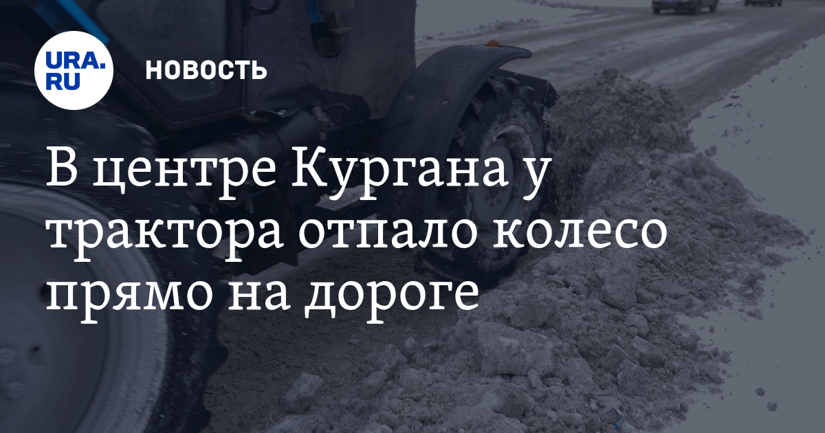Подарки студентам Подарки студентам